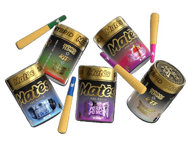 Muha Meds Infused Pre-rolls